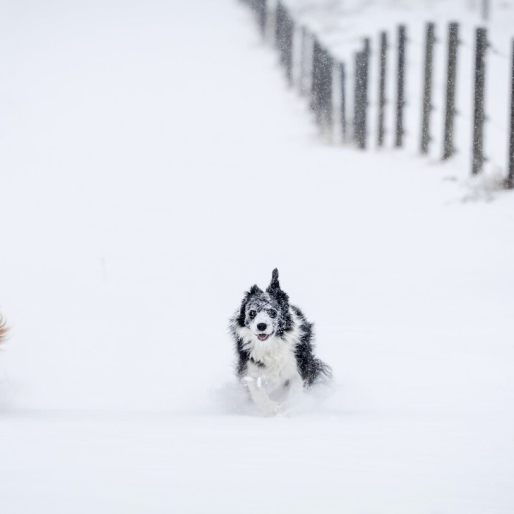 First major snowstorm is expected to hit northern Rockies | AP News