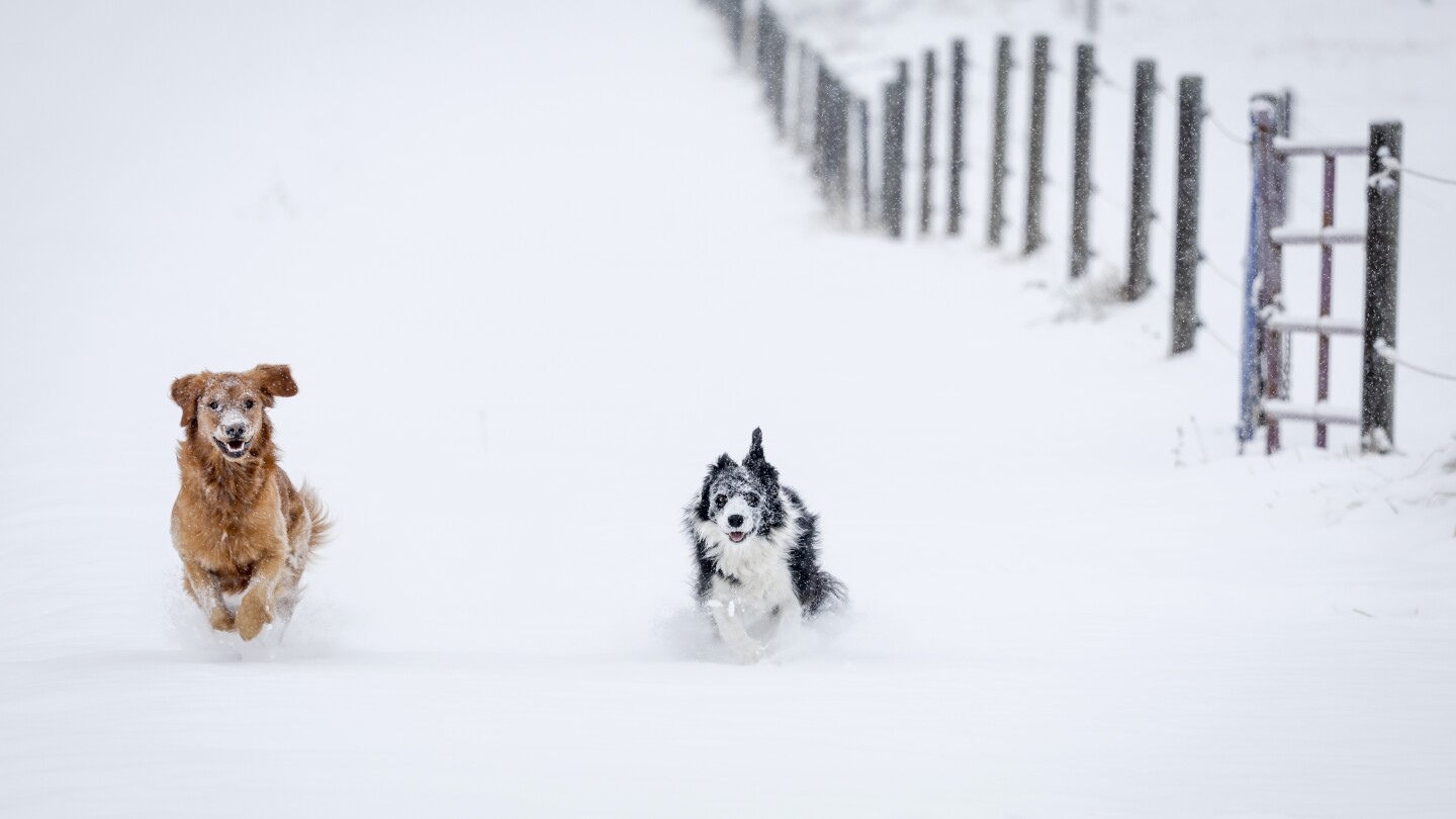 First major snowstorm is expected to hit northern Rockies | AP News