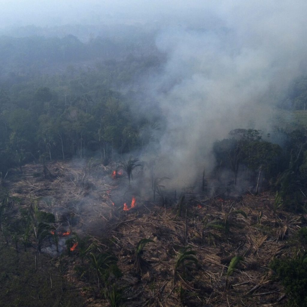 As rainforests worldwide disappear, burn and degrade, a summit to protect them opens in Brazzaville | AP News