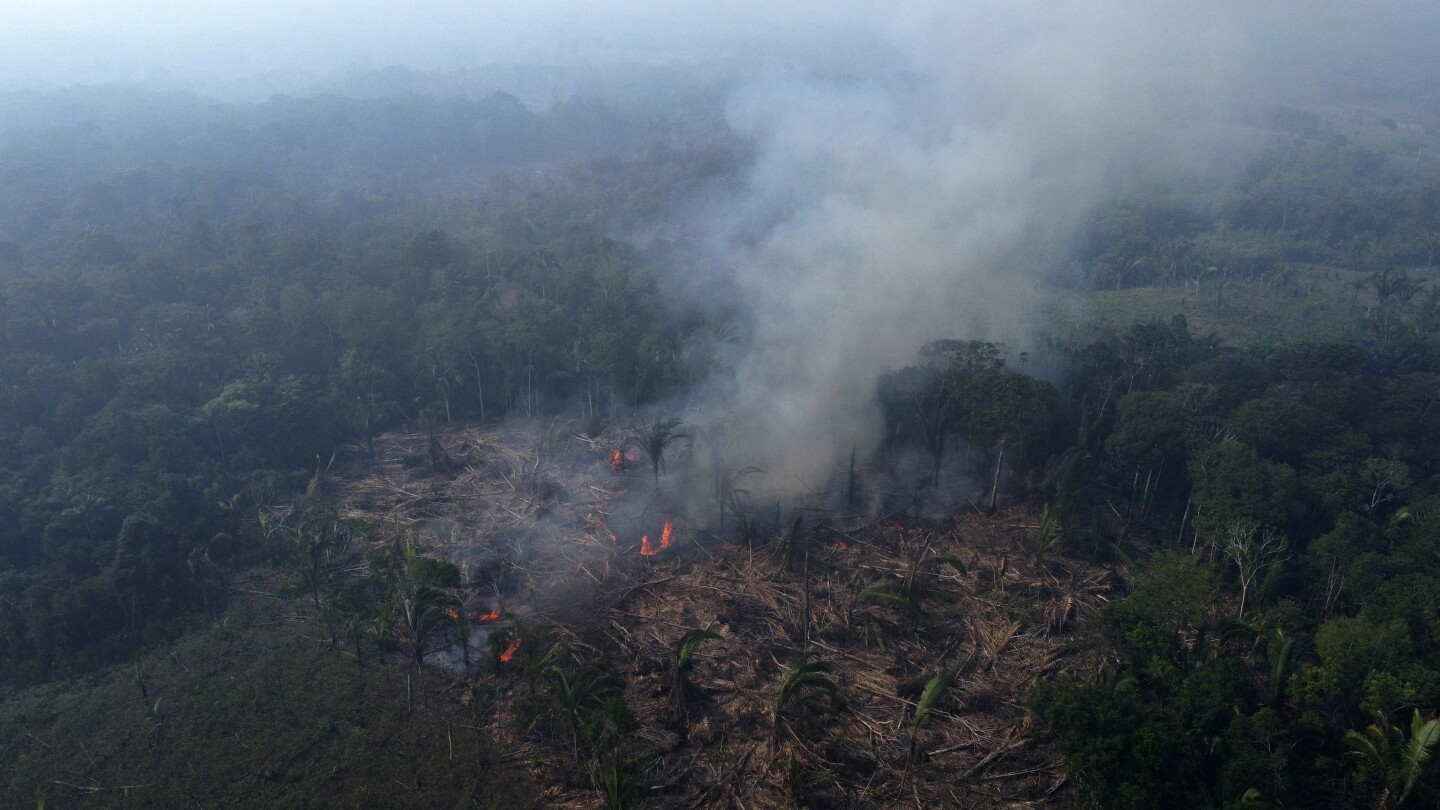 As rainforests worldwide disappear, burn and degrade, a summit to protect them opens in Brazzaville | AP News