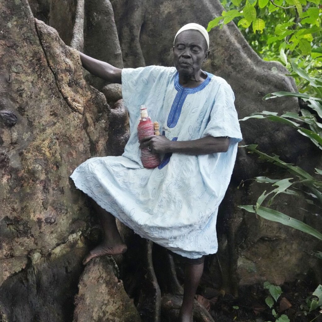 In Benin, Voodoo’s birthplace, believers bemoan steady shrinkage of forests they revere as sacred | AP News