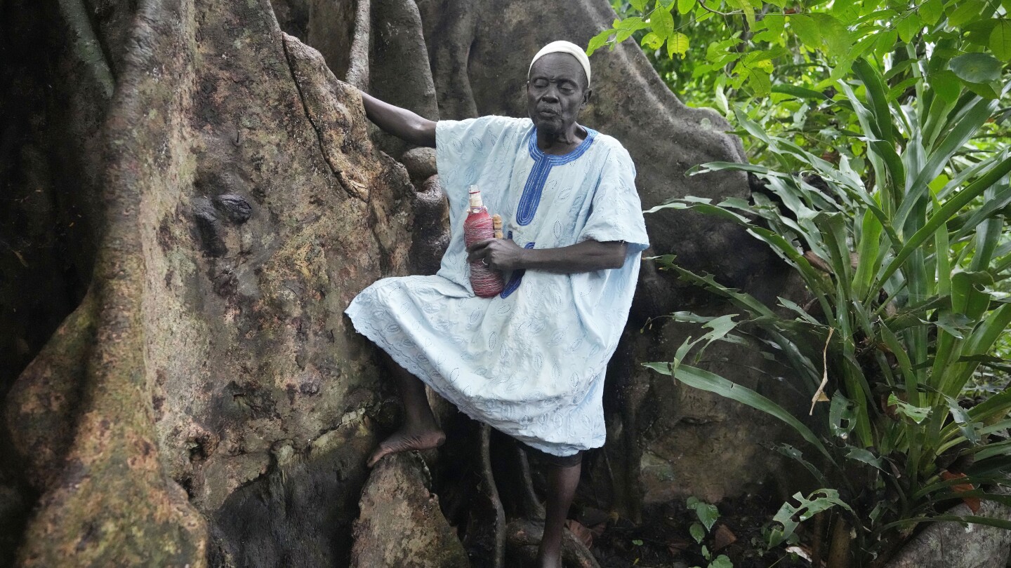 In Benin, Voodoo’s birthplace, believers bemoan steady shrinkage of forests they revere as sacred | AP News