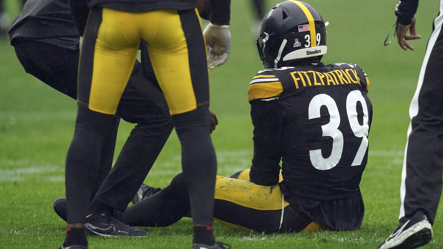 Steelers star safety Minkah Fitzpatrick leaves game against Jags with hamstring injury | AP News