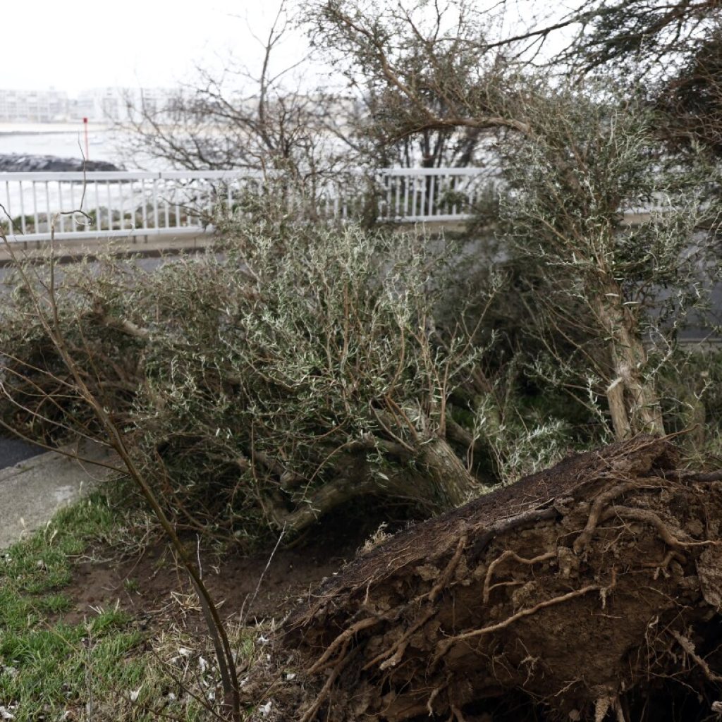 French power supplier says technician killed as it battles damage from Storm Ciarán | AP News