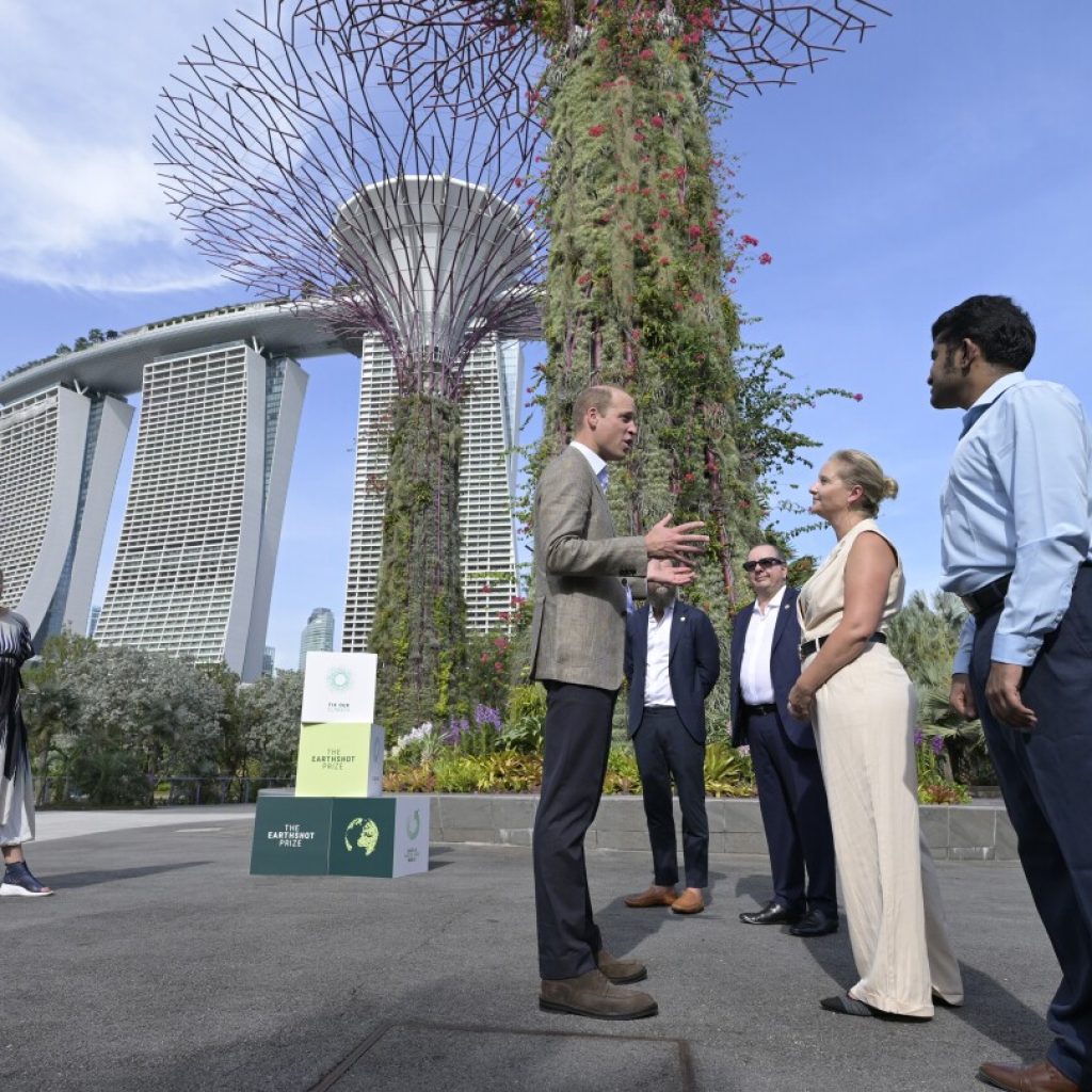 Prince William cheers on 15 finalists of Earthshot Prize ahead of awards ceremony | AP News