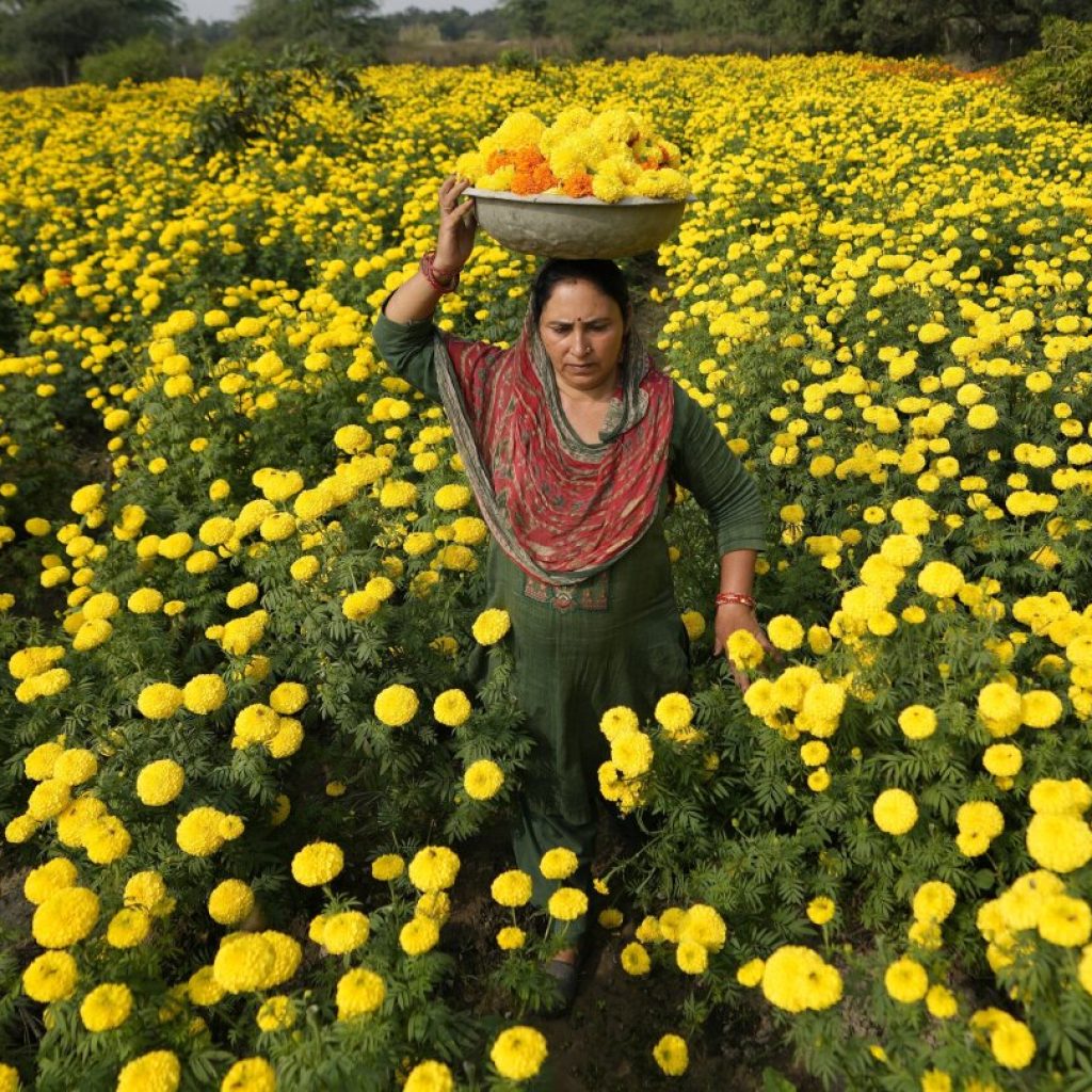 AP Week in Pictures: Global | Nov. 3 – Nov. 9, 2023 | AP News