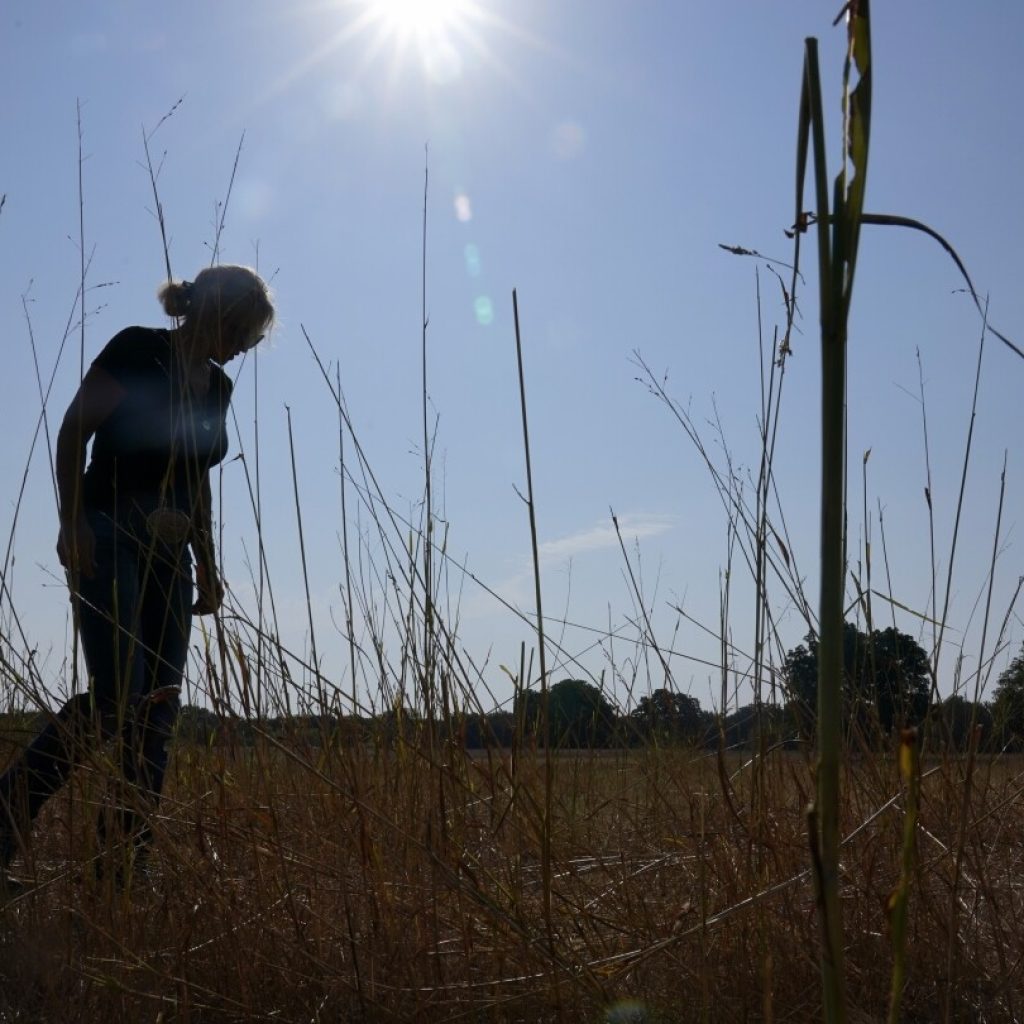 Worsening warming is hurting people in all regions, US climate assessment shows | AP News