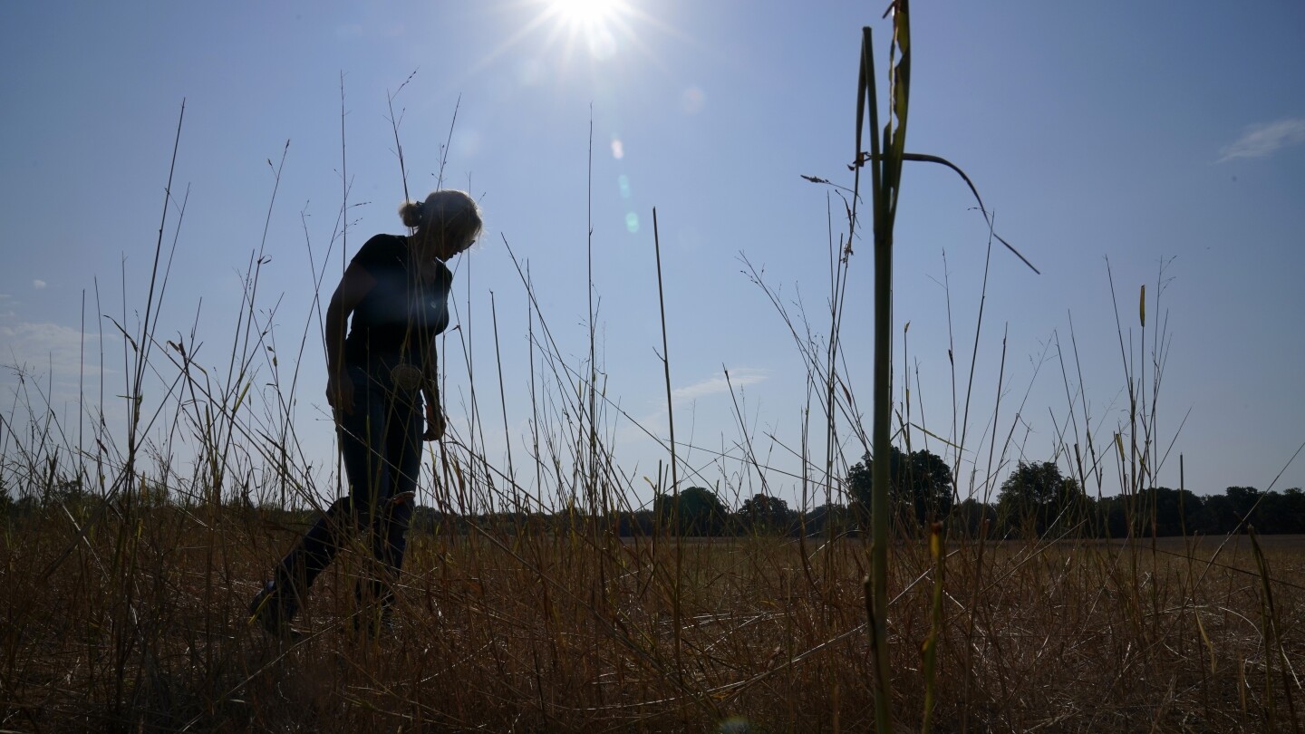 Worsening warming is hurting people in all regions, US climate assessment shows | AP News