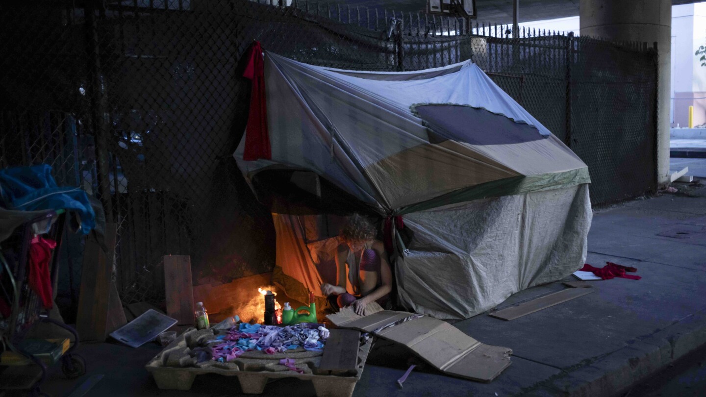 Los Angeles criticized for its handling of homelessness after 16 homeless people escape freeway fire | AP News