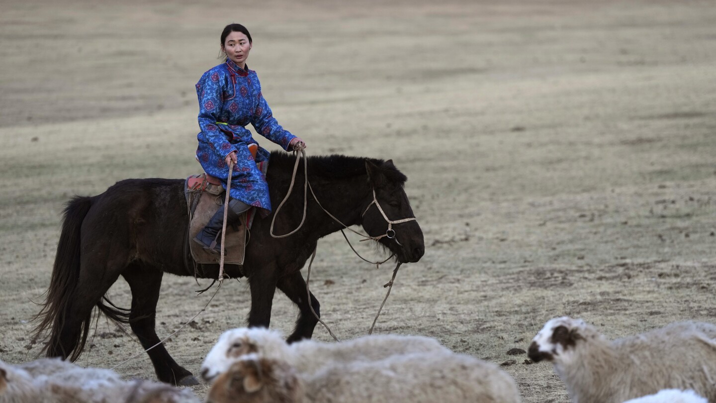 What is pastoralism? The practice in Senegal and Mongolia can offer sustainable farming lessons | AP News