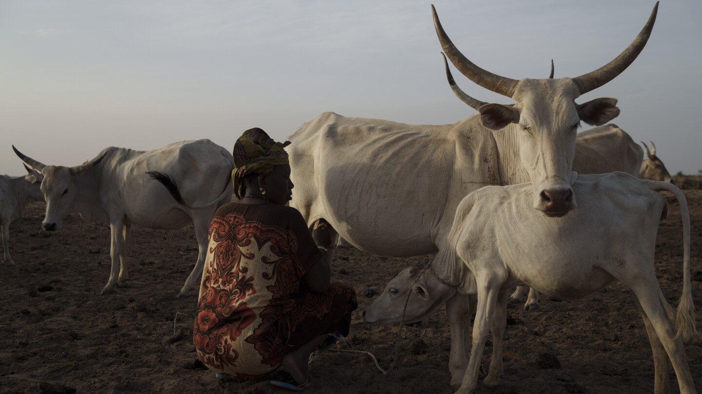 AP PHOTOS: Pastoralists in Senegal raise livestock much as their ancestors did centuries ago | AP News