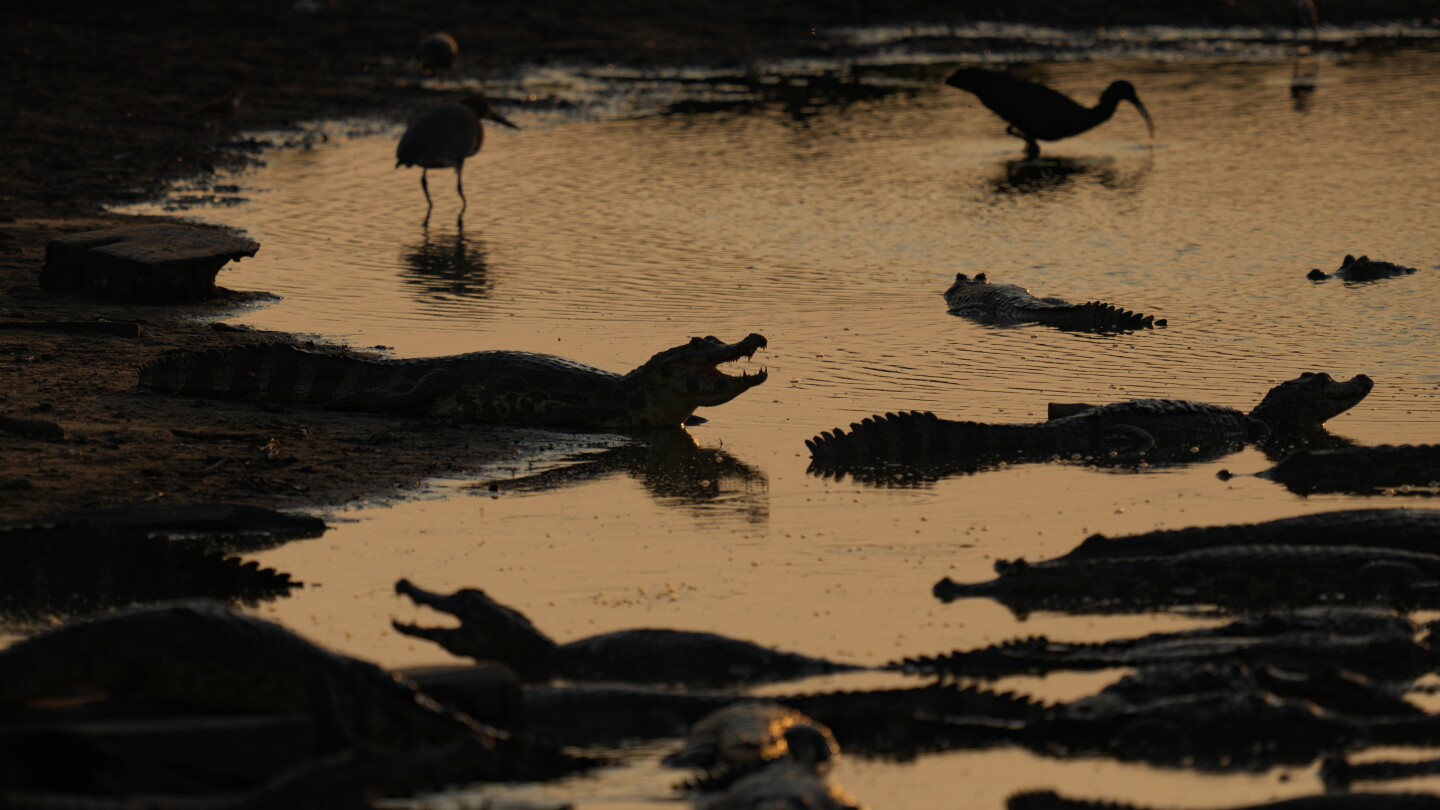 AP Week in Pictures: Latin America and Caribbean | AP News