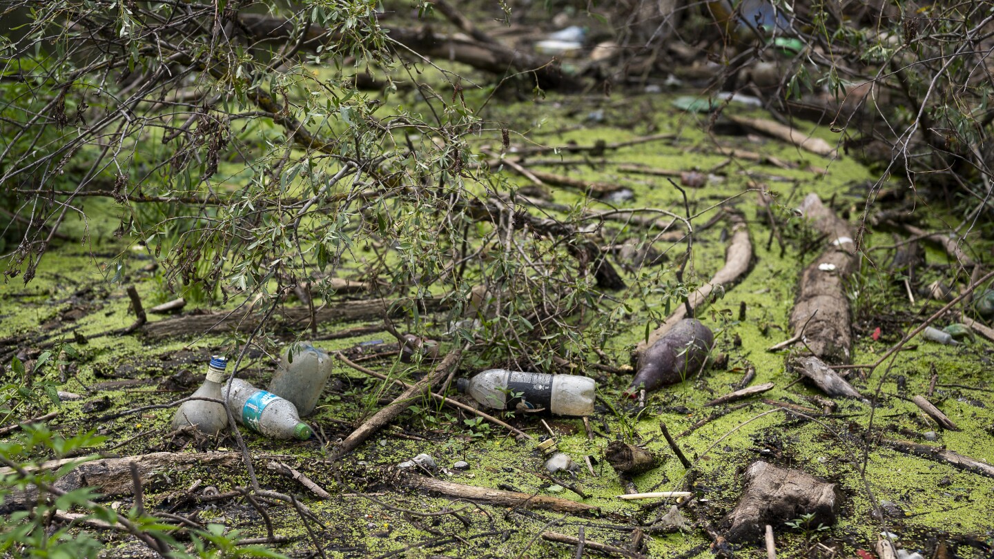 At talks on cutting plastics pollution, plastic credits are on the table. What are they? | AP News