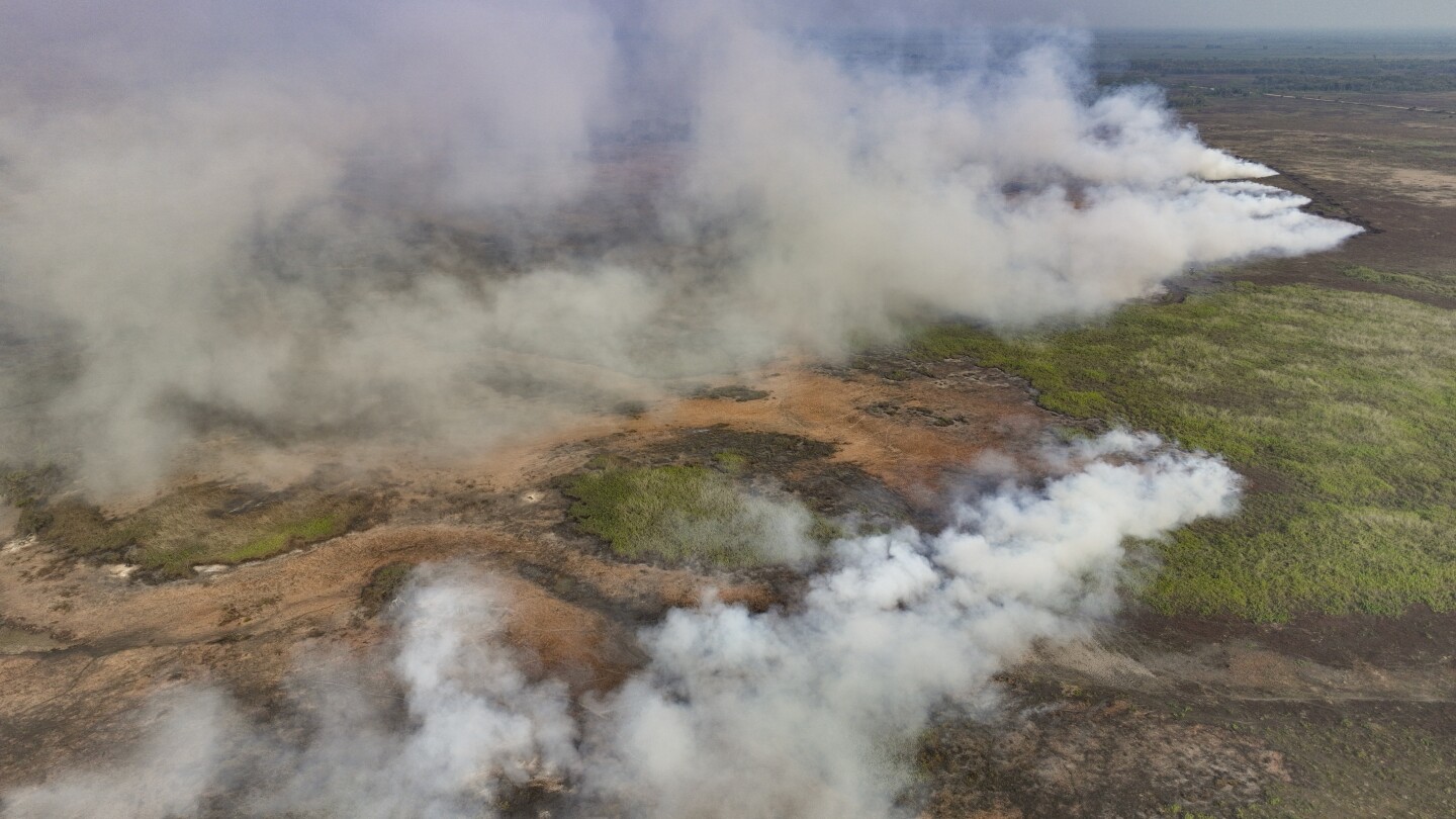 Fires in Brazil threaten jaguars, houses and plants in the world’s largest tropical wetlands | AP News