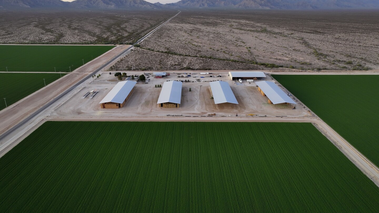 Tensions build at Arizona farms as foreign firms exploit unregulated water | AP News