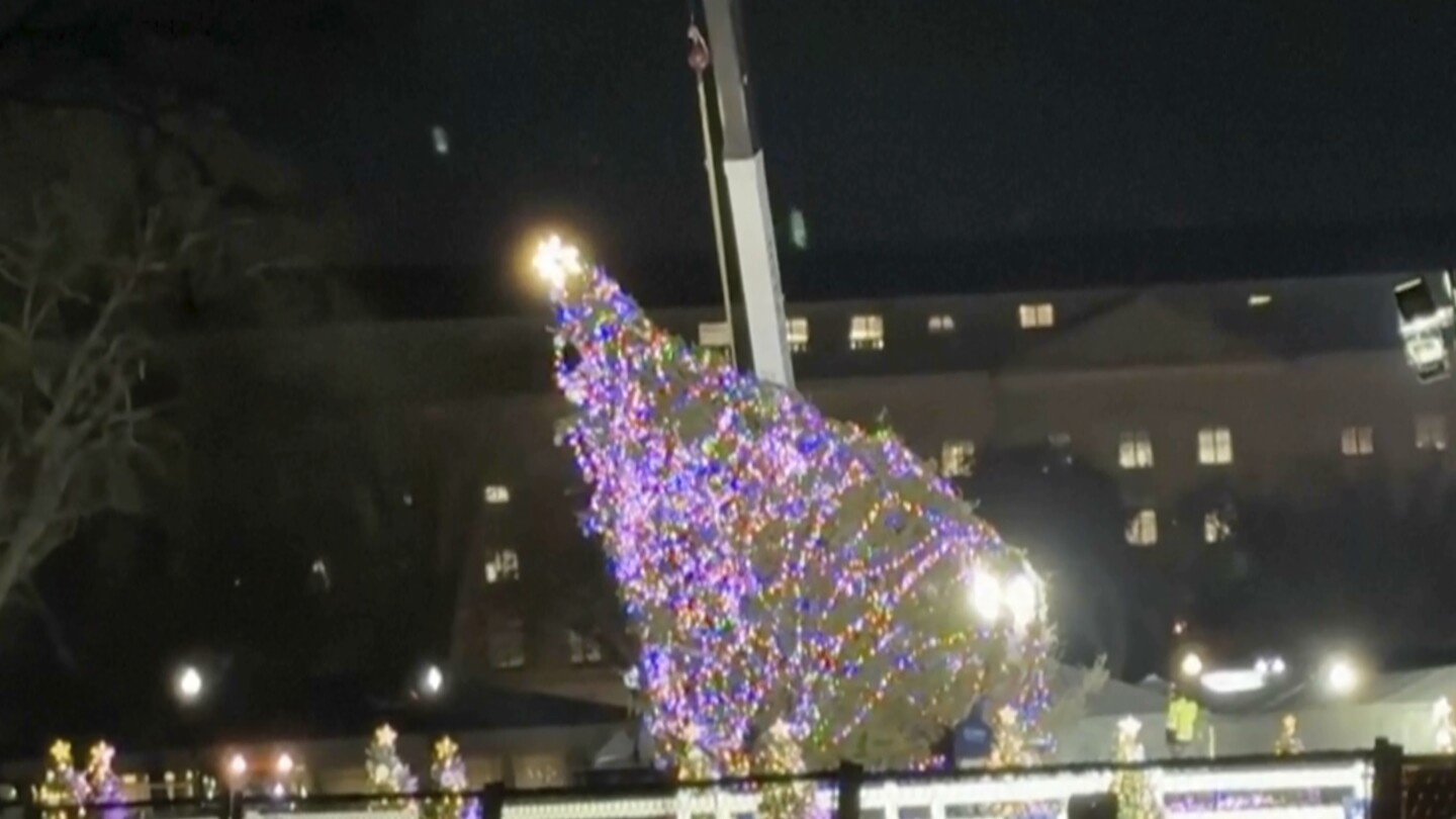 Toppled White House Christmas tree is secured upright, and lighting show will happen as scheduled | AP News