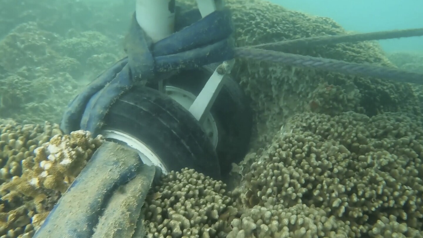 Underwater video shows US Navy plane touching coral reef in Hawaii  | AP News