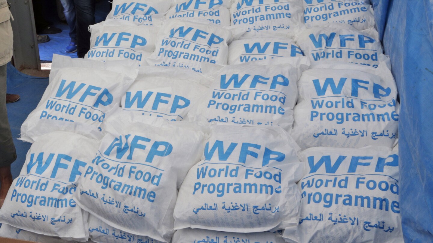 The World Food Program will end its main assistance program in Syria in January, affecting millions | AP News