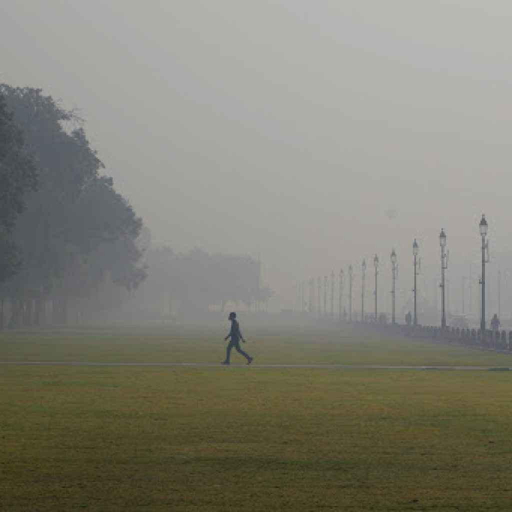 Otrovni smog u Nju Delhiju