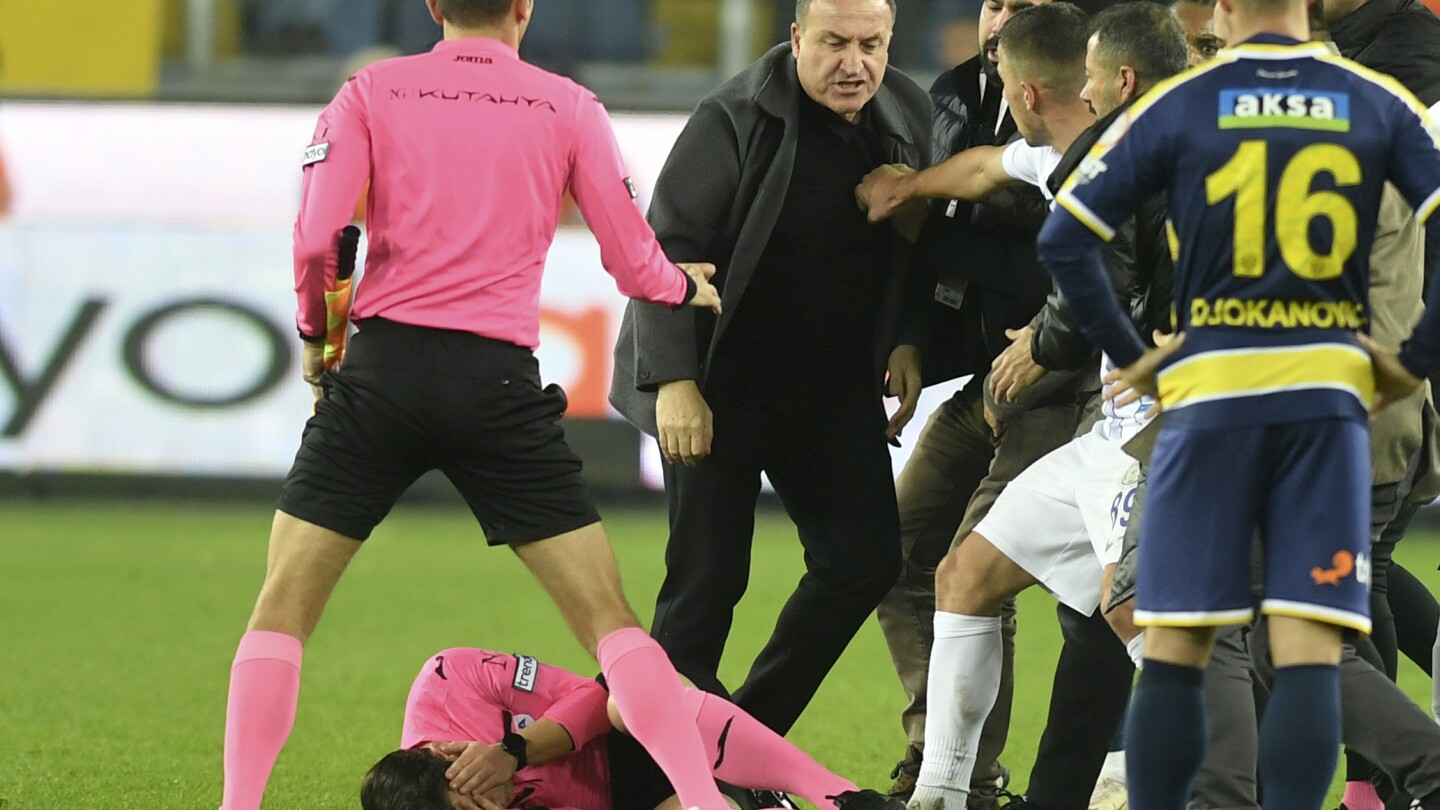 Former Turkish soccer team president gets permanent ban for punching referee | AP News