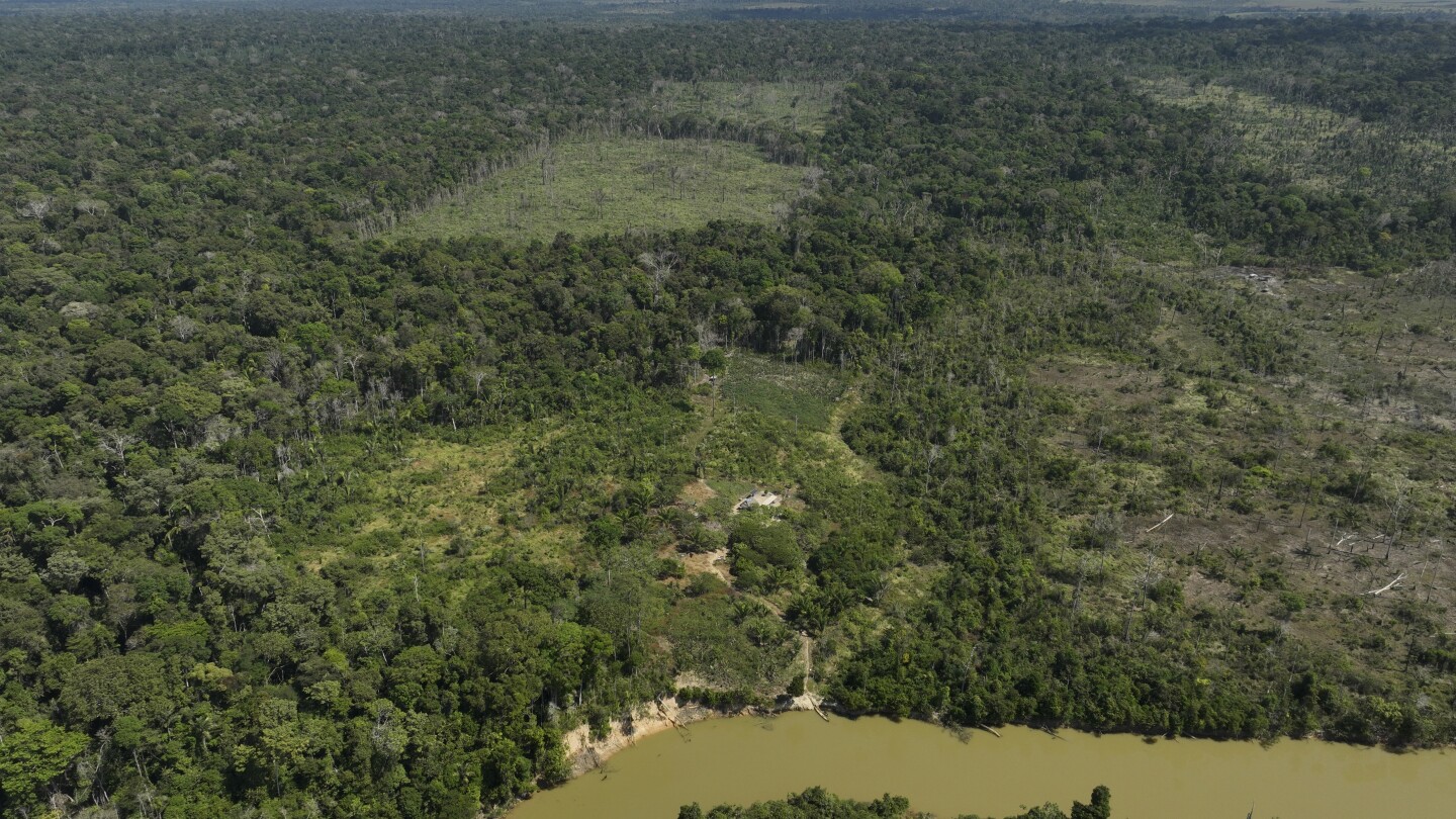 Takeaways from lawsuits accusing JBS, others of contributing to Amazon deforestation | AP News