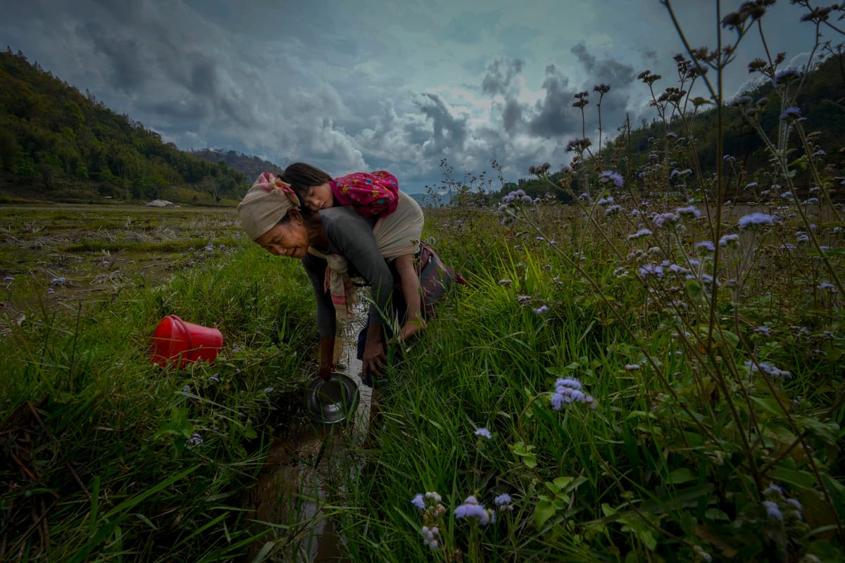 AP photos reveal intensity, insecurity and inequality in 2023 as world altered by climate change