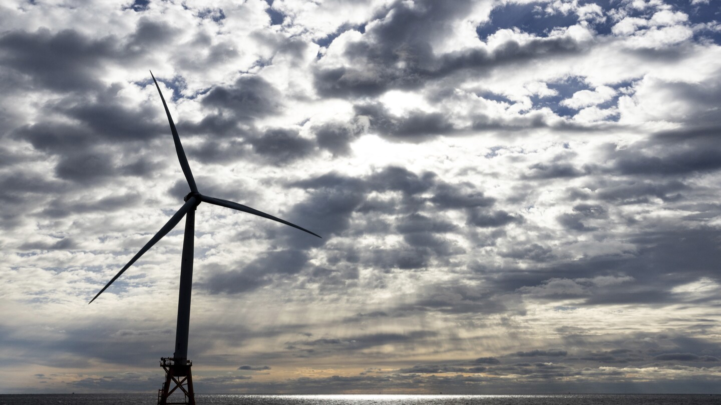 Contrary to politicians’ claims, offshore wind farms don’t kill whales. Here’s what to know. | AP News