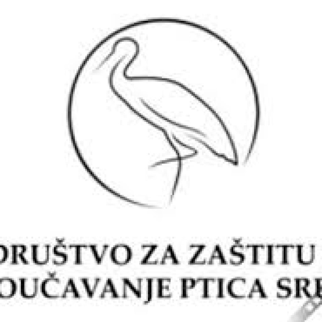 U blizini Sokobanje viđena nova vrsta ptice u Srbiji – veliki morski gnjurac