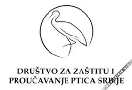 U blizini Sokobanje viđena nova vrsta ptice u Srbiji – veliki morski gnjurac