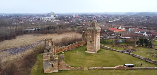 Koncert Radeta Šerbedžije u parku u Baču, nakon što je SNS otkazao salu