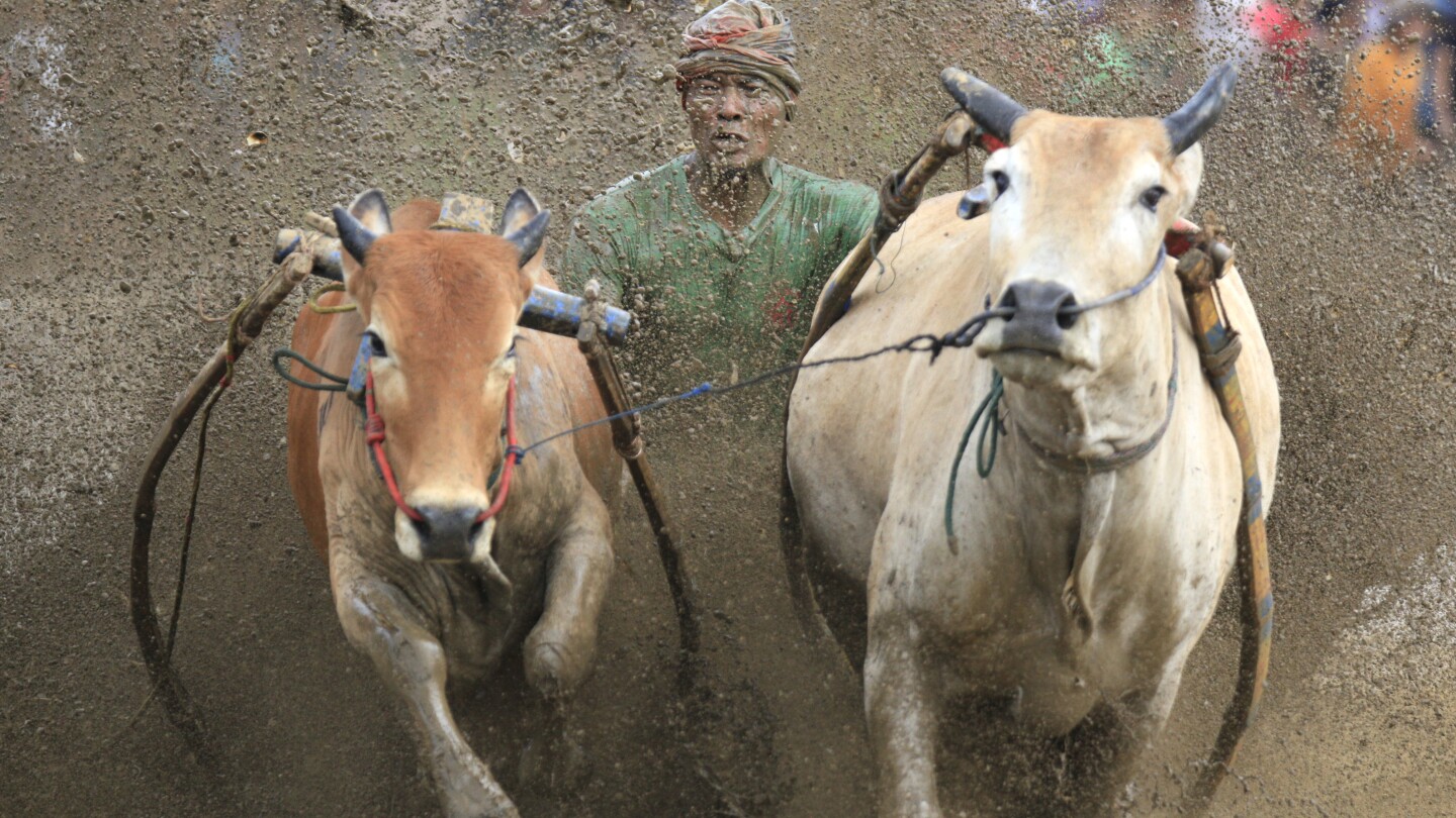 AP Week in Pictures: Global | Dec.22-Dec.28, 2023 | AP News