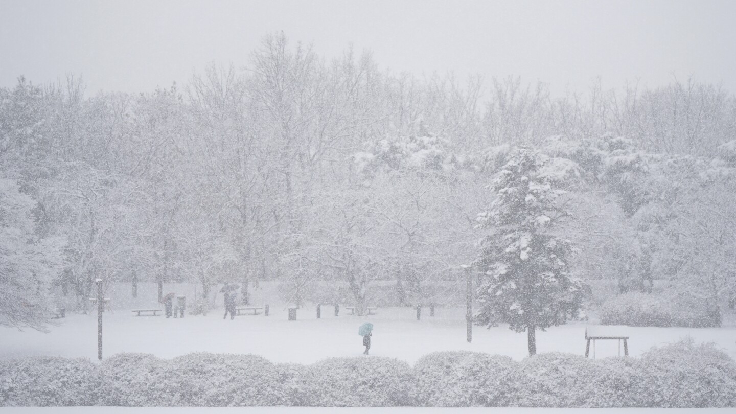 Seoul records heaviest single-day snowfall in December for 40 years | AP News