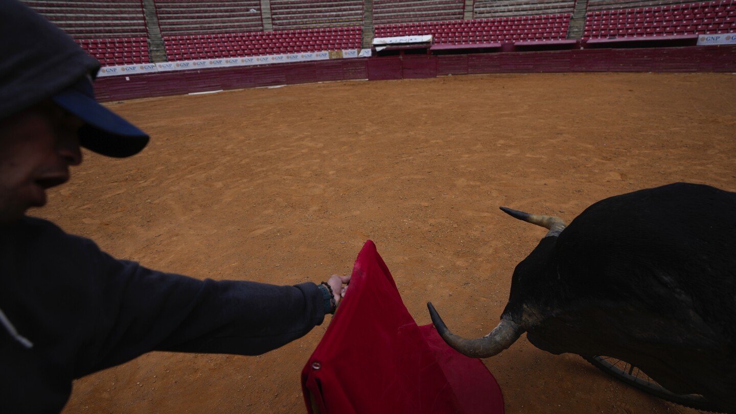 The return of bullfighting to Mexico’s capital excites fans and upsets animal rights groups | AP News