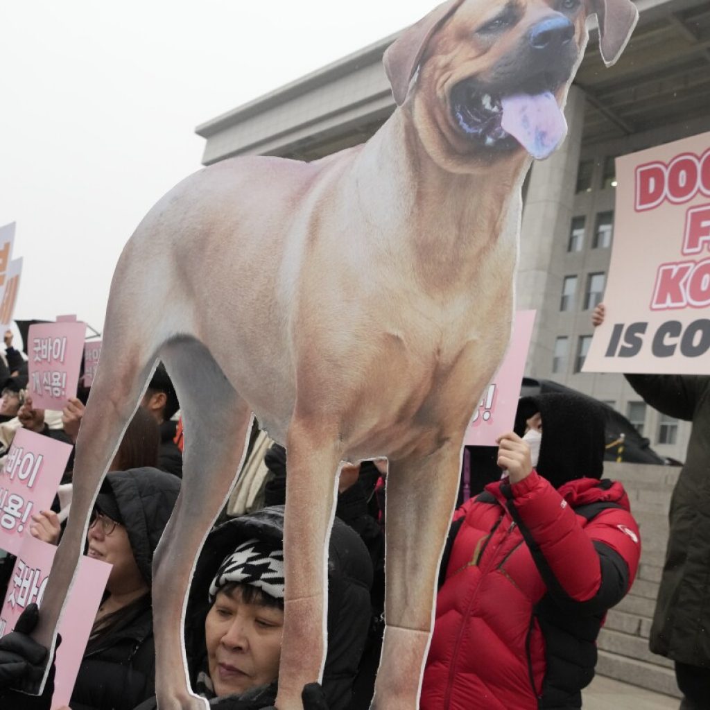 Dog meat production and sales will soon become illegal in South Korea | AP News