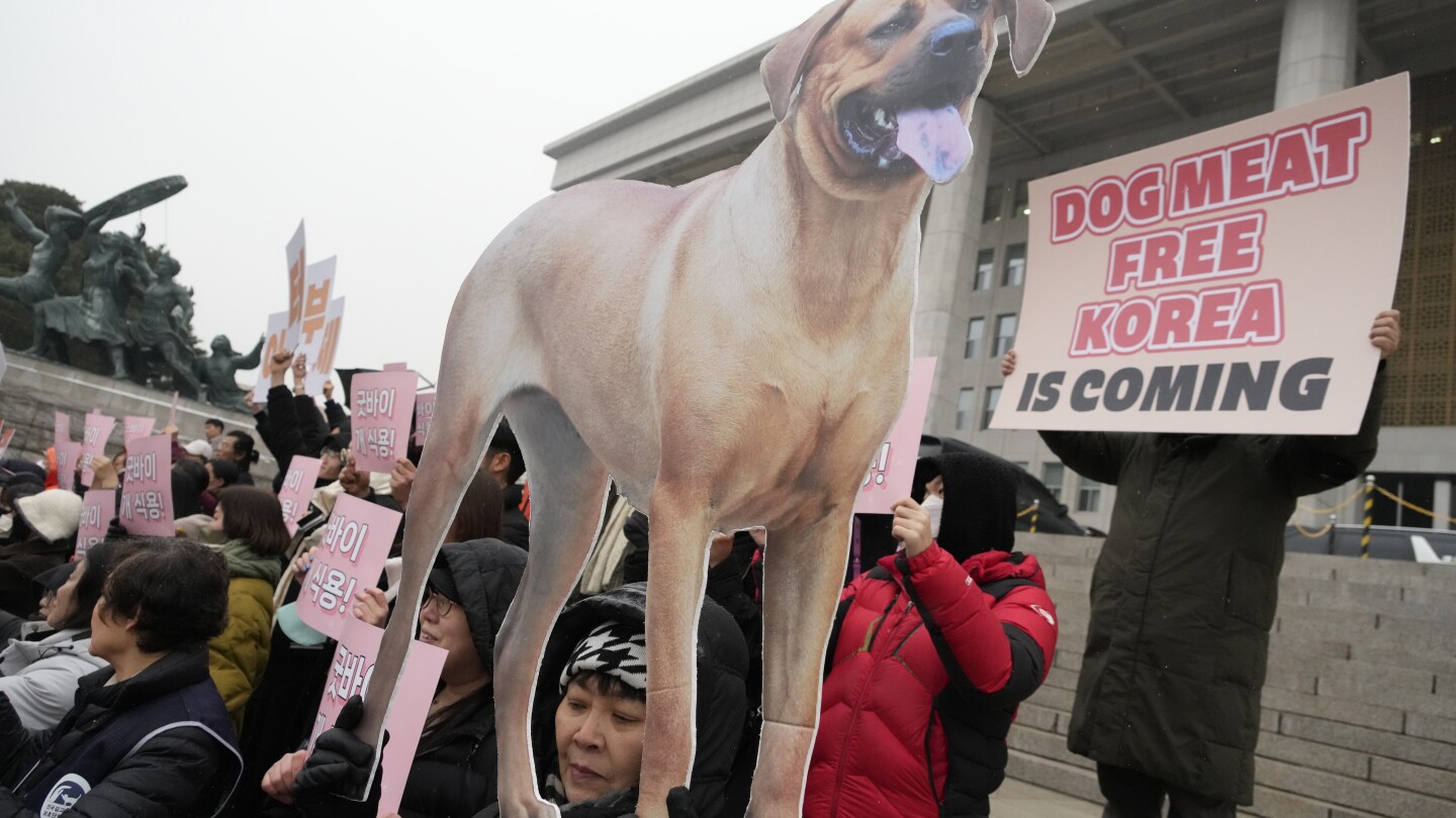 Dog meat production and sales will soon become illegal in South Korea | AP News