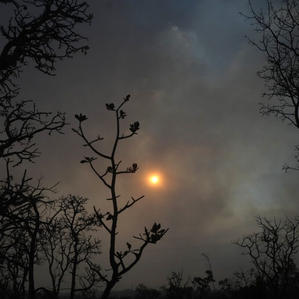 Deforestation in Brazil’s savanna region surges to highest level since 2019 | AP News