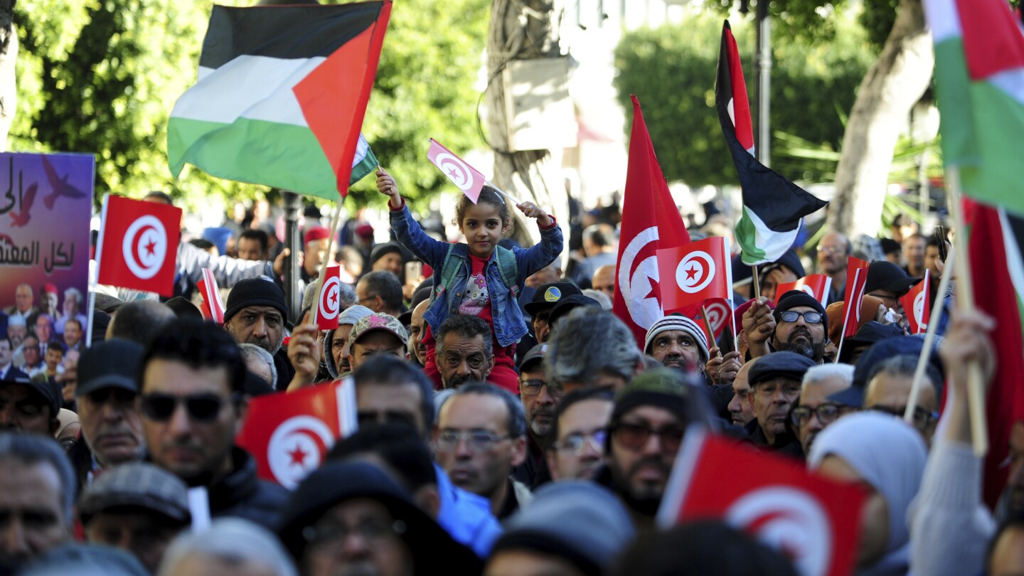 Tunisia commemorates anniversary of the 2011 revolution. Opposition decries democratic backsliding | AP News