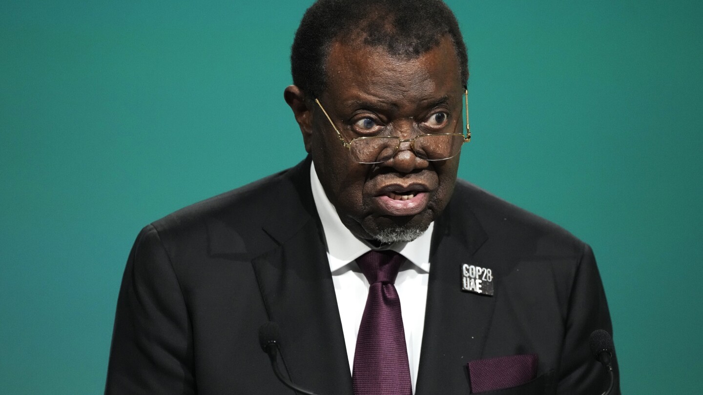 Namibian President Hage Geingob will start treatment for cancer, his office says | AP News