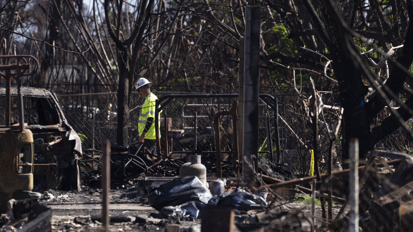 Maui wildfires: New 911 audio recordings from Lahaina capture desperate pleas for help | AP News