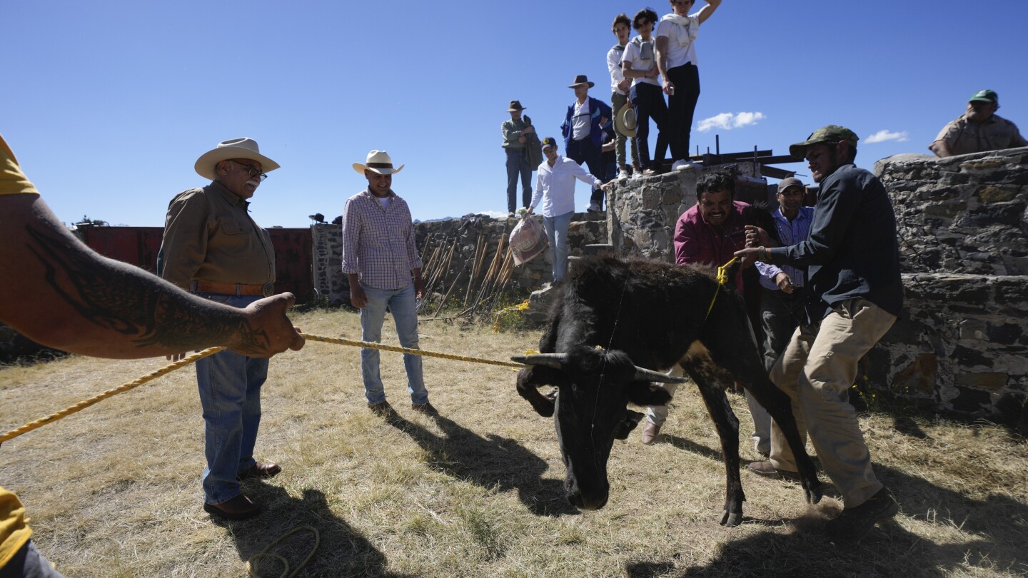 Bullfight advocates working with young people to attract new followers in Mexico | AP News