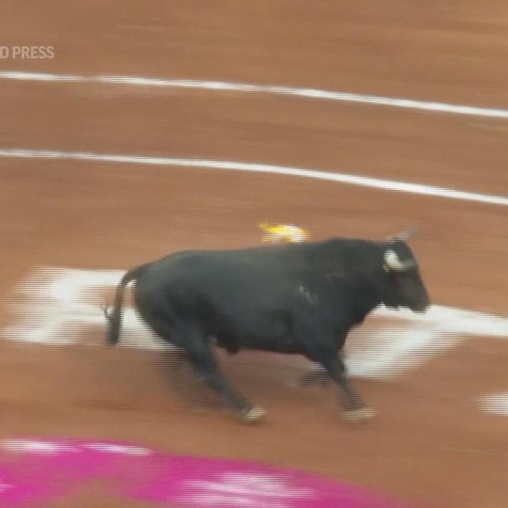 Bullfighting resumes in Mexico City before full crowd while activists protest outside | AP News