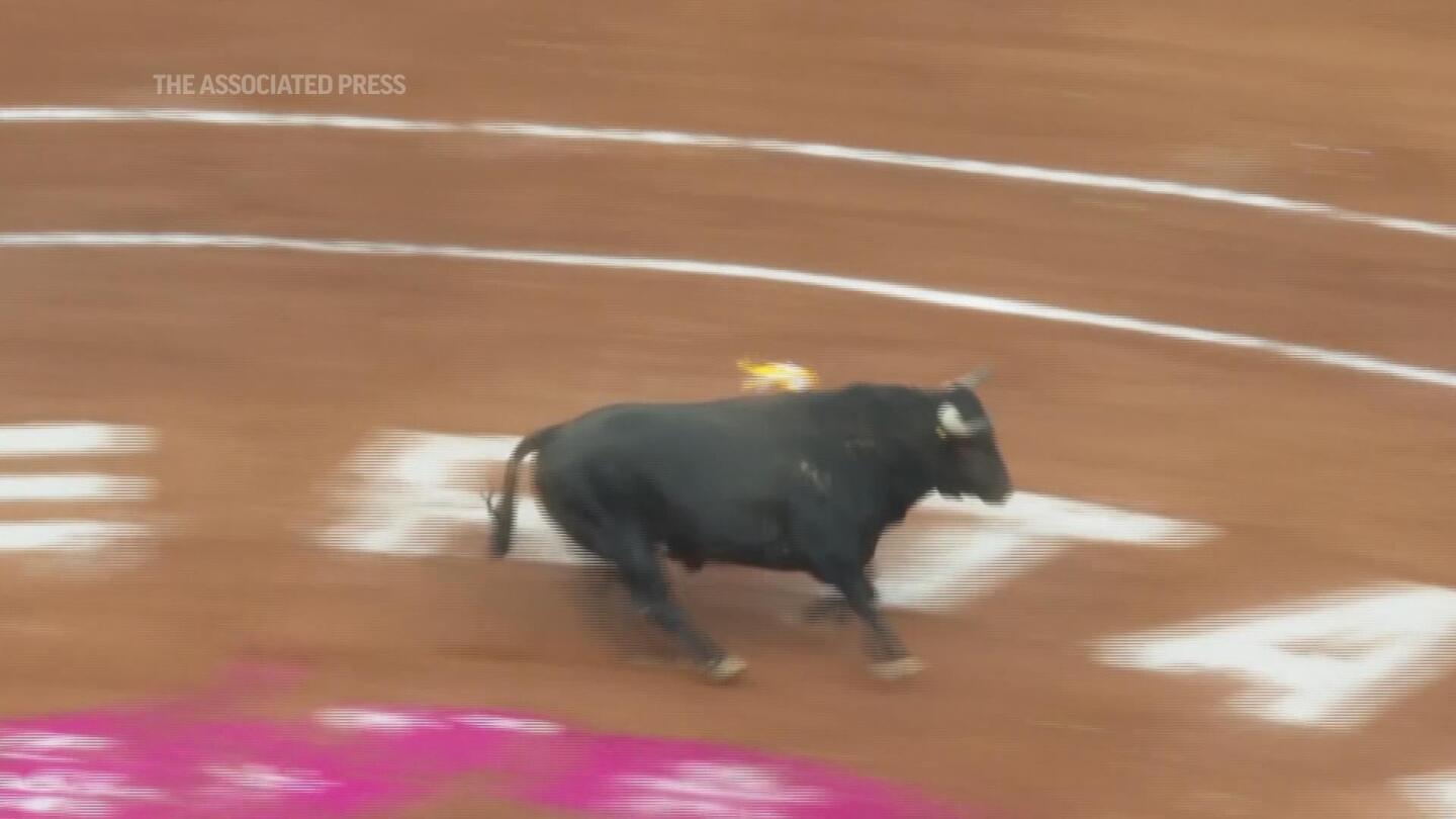 Bullfighting resumes in Mexico City before full crowd while activists protest outside | AP News