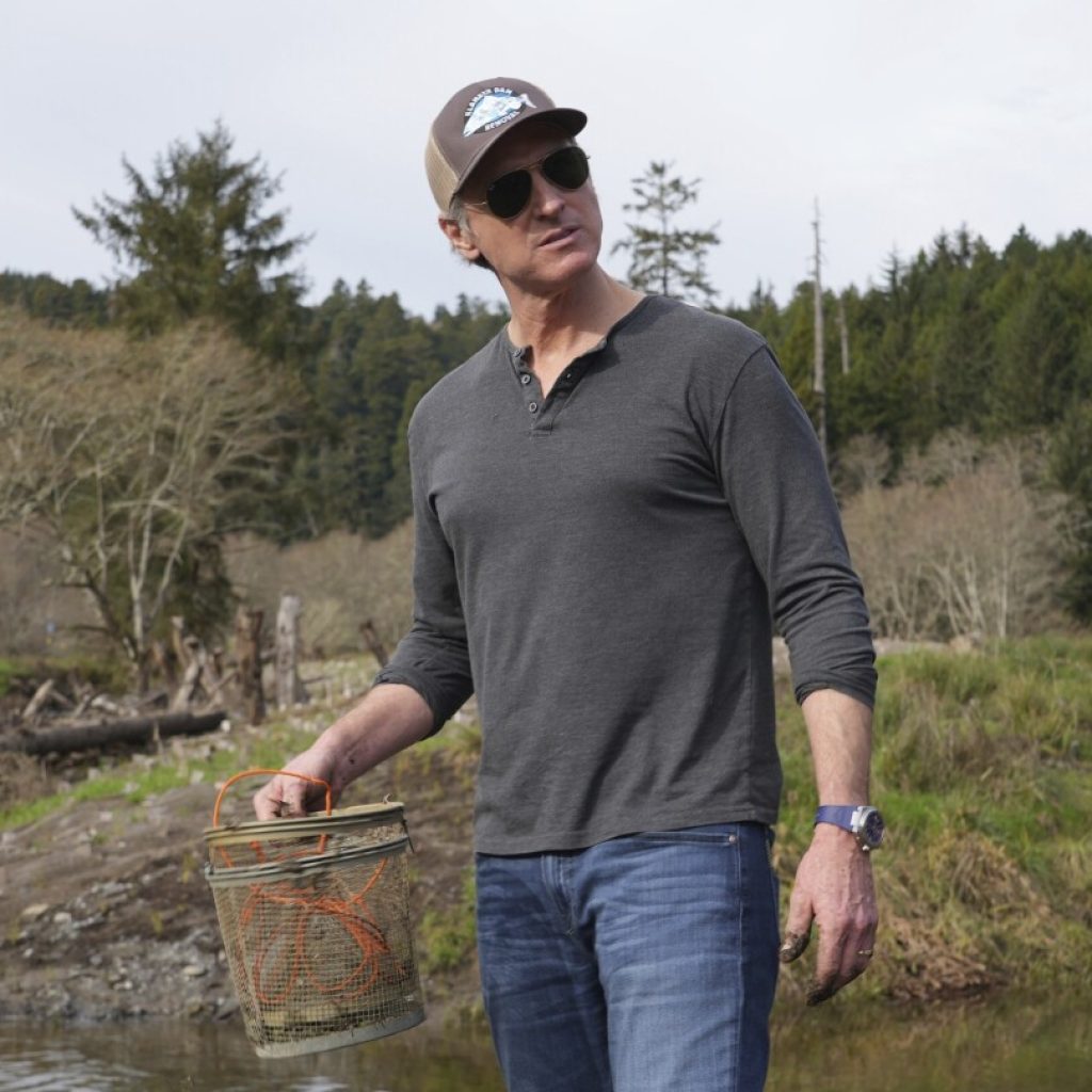 California Gov. Gavin Newsom backs dam removal projects aimed at sustaining salmon populations | AP News