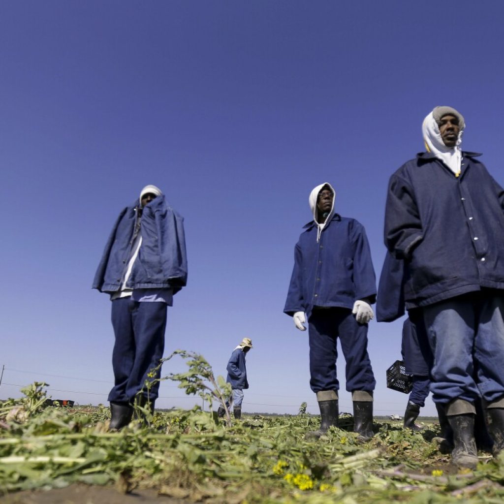 Hidden prison labor web linked to foods from Target, Walmart | AP News