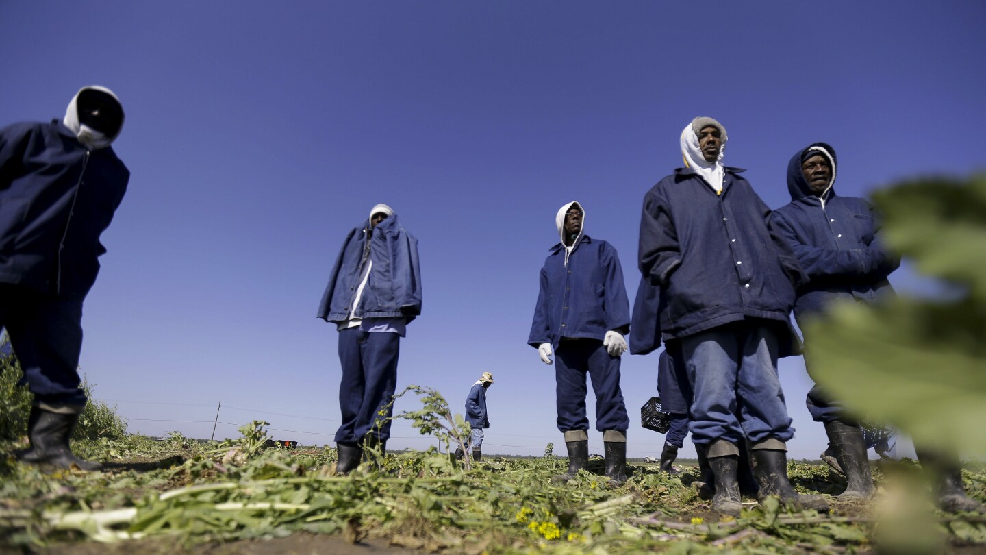 Hidden prison labor web linked to foods from Target, Walmart | AP News