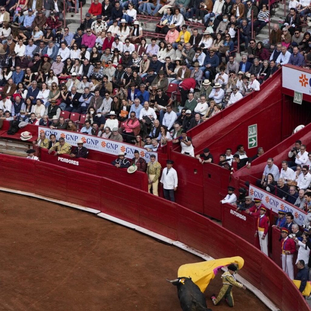 Federal court once again suspends bullfights in Mexico City, as activists and supporters lock horns | AP News