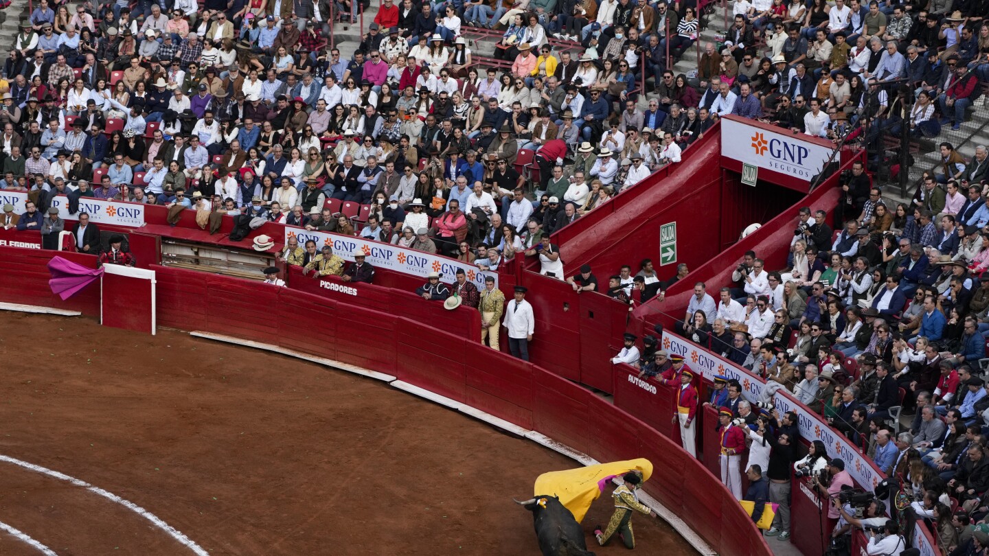 Federal court once again suspends bullfights in Mexico City, as activists and supporters lock horns | AP News