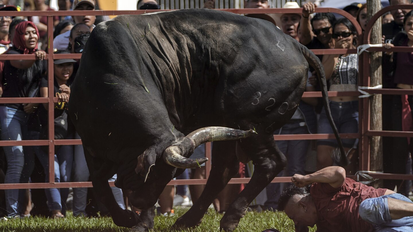 Mexican town continues bull running tradition despite legal struggle over bullfights in capital | AP News