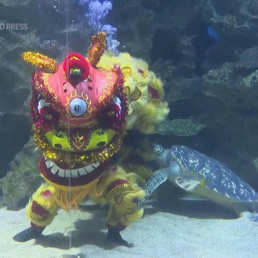 Underwater lion dance wows visitors at aquarium in Kuala Lumpur | AP News