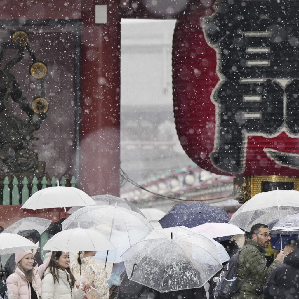 Heavy snow hits Tokyo area, halting trains and grounding more than 100 flights | AP News